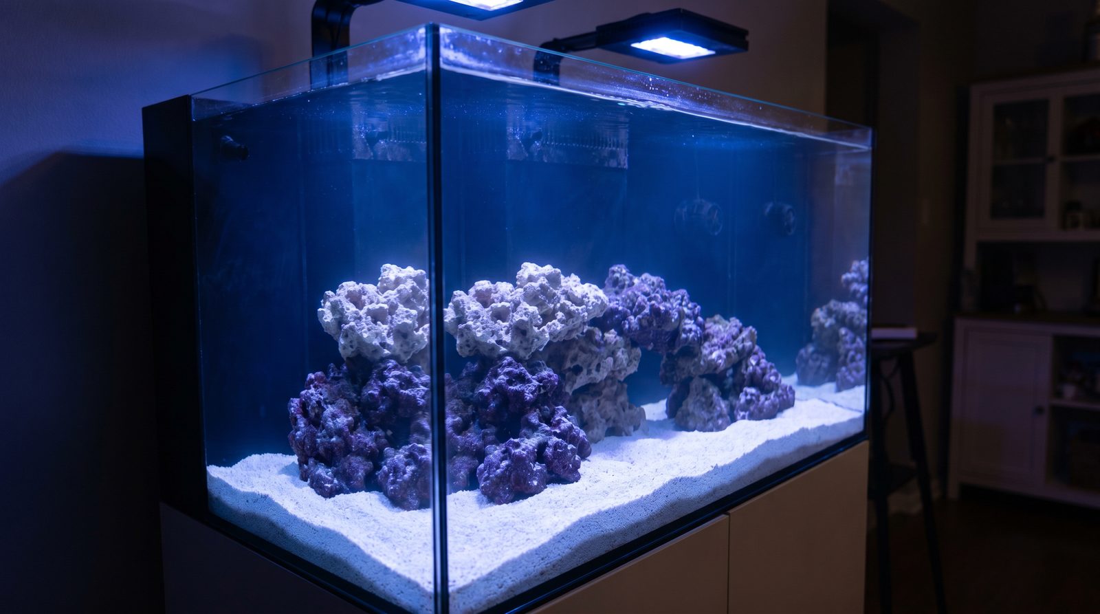 An empty new reef aquarium filled with saltwater, live rock, and sand, lit with blue LED lighting before the first livestock is added