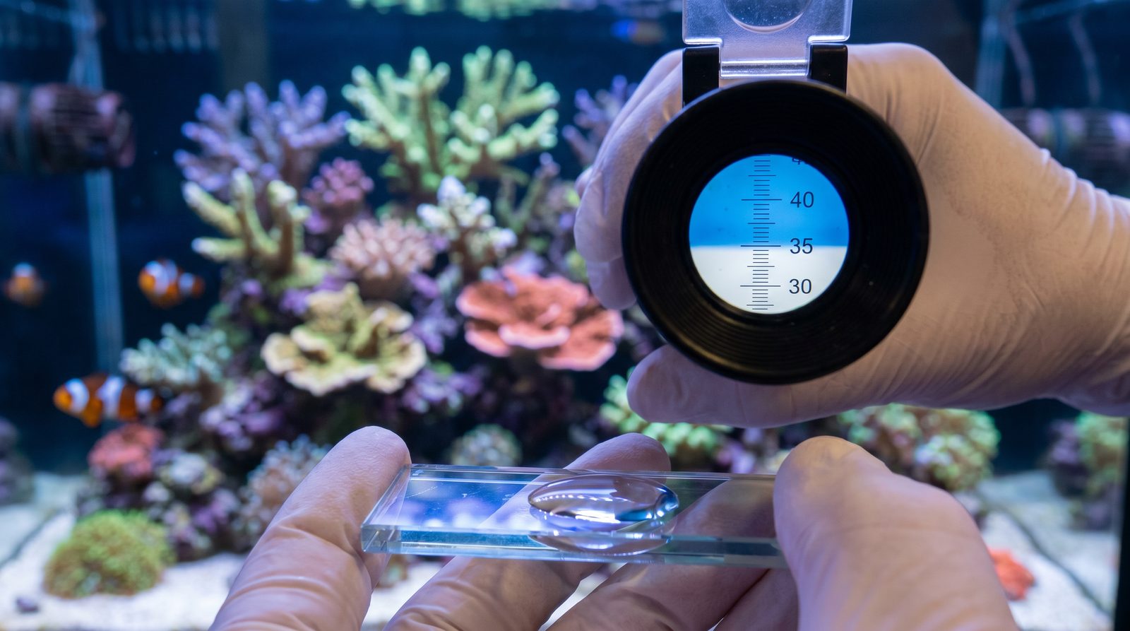 A refractometer being used to measure reef tank salinity with saltwater on the prism